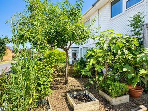 Garden- click for photo gallery